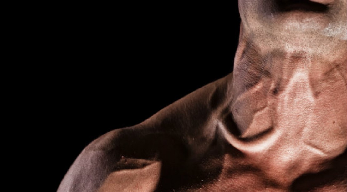 Muscle Building Tips Bolt On a Bigger Neck Muscle & Fitness